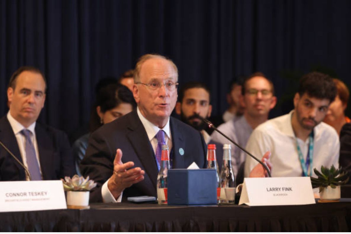 About Wert Trade Capital LTD